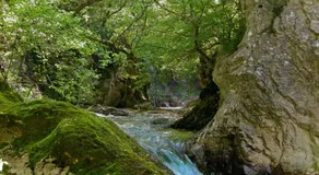 Le Stanze di Ester - Image 2