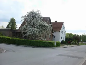 Fewo Am Trügelbach - Image 2