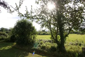 Ashgrove Bed & Breakfast - Image 4