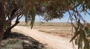 Di's Place - Image 2