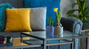 Summer Experience Apartment - Image 3