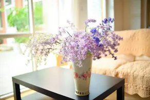 Vinifera Country House - Image 2