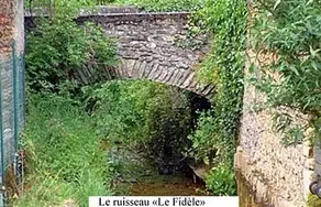 Le Fidele - Image 5