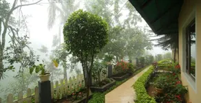 The New Whispering Meadows - Image 4