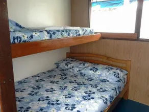 Lo Peix Rainforest Cruises - Image 4