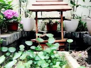 Xitang Laoqianzhuang Hotel - Image 2