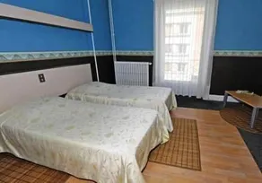 Hôtel Le Carpinien - Image 2
