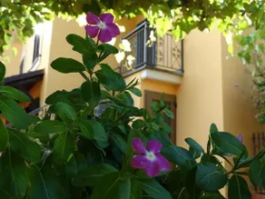 Casa Penelope - Image 2