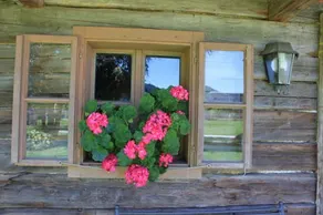 Haus Alexander Pension - Image 3