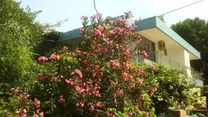 Wind Heaven Garden - Image 1