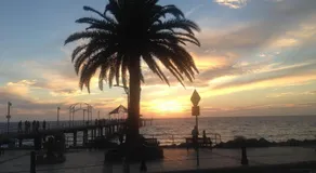 Sea J's, Brighton - Image 3