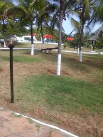 Flappy Beach Villa - Image 5