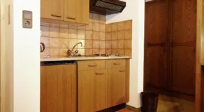 Modern Holiday Home in Leutasch with Barbecue - Image 3