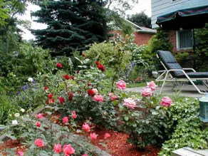 Dorchester House Bed And Breakfast - Image 2