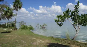Cerros Beach Resort - Image 4