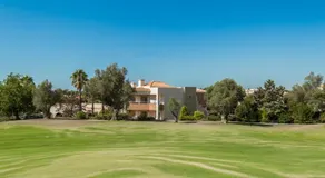 Pinta Golf 290F - Image 3