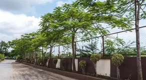 Green Paradise Navsari - Image 3