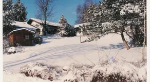 Ferienhaus Waldschrat - Komplettpreis - Image 3