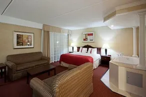 HOLIDAY INN MANSFIELD-FOXBORO AREA - Image 5