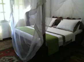Simba House - Image 4