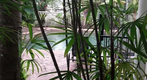 Jackies holiday Apartment - Image 2