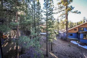 Midnight Howl by Big Bear Vacations - Image 2