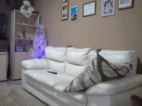 Mateus Family's House - Image 2