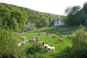 B&B Arlesbrunnen - Image 3