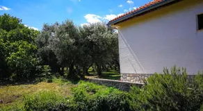 Ecohouse Oliveglia - Image 4