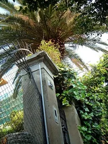 B&B L'oasi - Image 4