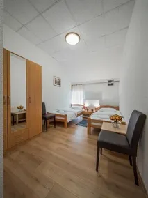 Guest House Izbor Jandric - Image 4