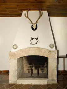 Quinta Do Brejo Turismo Equestre - Image 4