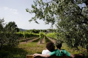 Agriturismo Villa Marani - Image 3