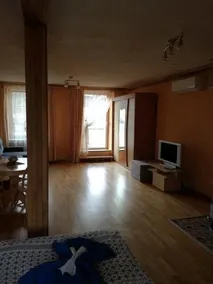 Cozy One Room Apartment With Yard - Image 5