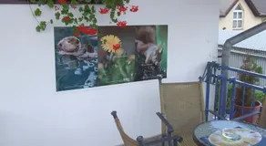 Penzion U Sokola - Image 2