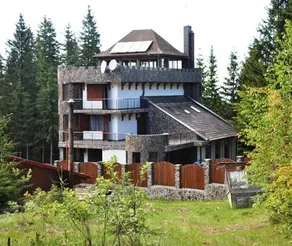 Castelul de Piatra - Image 2