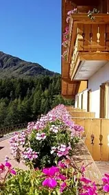 Belvedere Mountain Experience - Image 3
