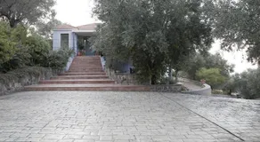 Harmony - Image 3