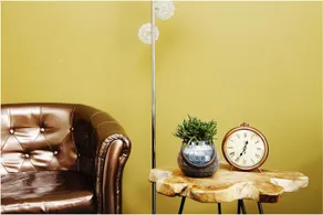 Het Rode Huis Leiden - Image 2
