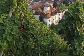 Röttele's - Image 5