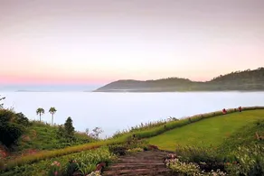 At Tree Resort Khaokho - Image 5