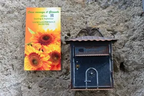 Il Girasole - Image 3