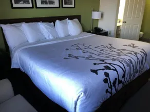 Sleep Inn & Suites by Choice Hotels - Image 4