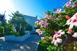 Villa Belen - Image 4
