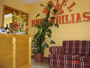 Bugambilias - Image 4