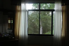 The Cherry Tree - Image 5