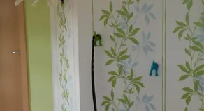 Ferienwohnung "Am Feld" - Image 3