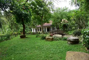Jasmine Aura - Image 2