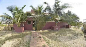 Terre d'Afrique - Image 3
