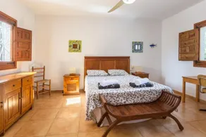Yuca - Image 2